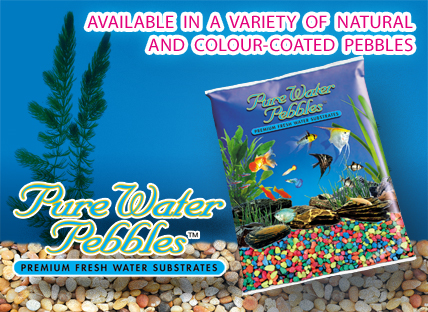 Available in a variety of colours