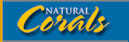 All Natural Corals